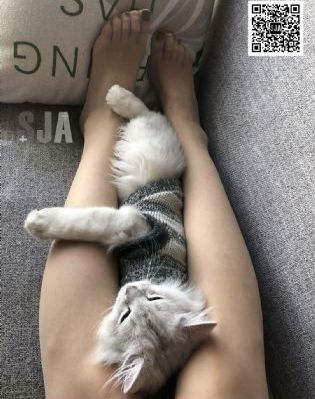 尸妖 电影_720日本电影免费