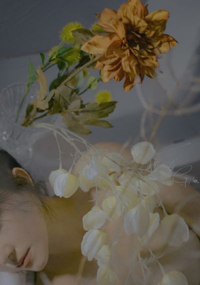花旗少林电影国语在线观看_1080在线观看高清