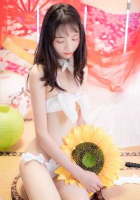 魔法少女与恶曾是敌人. 动漫_BD韩语高清完整版播放